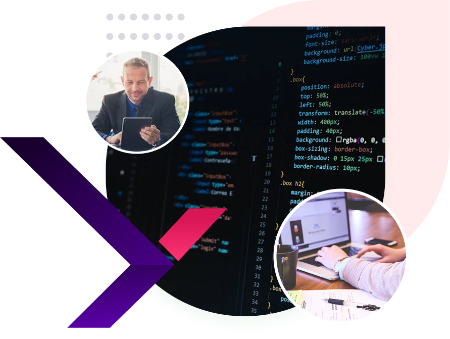 Free Website Audit